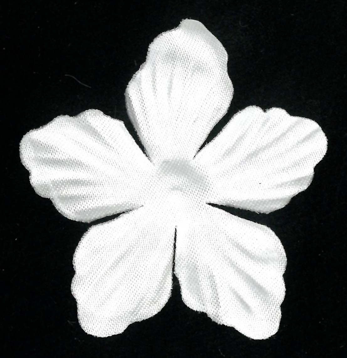 SATIN FLOWER - WHITE